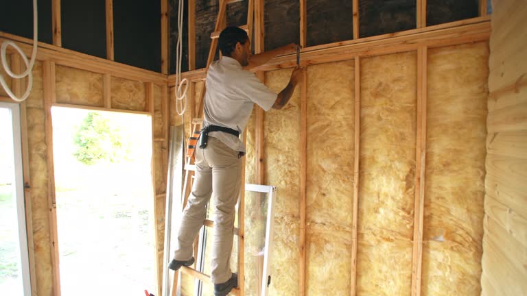 Best Insulation for New Construction  in The Homesteads, TX