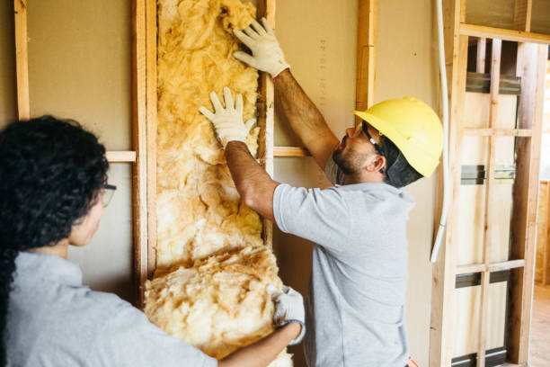 Best Eco-Friendly or Green Insulation Solutions  in The Homesteads, TX