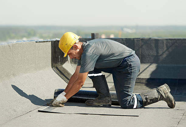 Best Attic Insulation Installation  in The Homesteads, TX