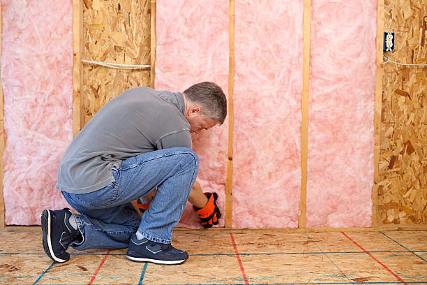 Fireproof Insulation in The Homesteads, TX