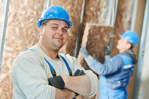 Best Garage Insulation  in The Homesteads, TX